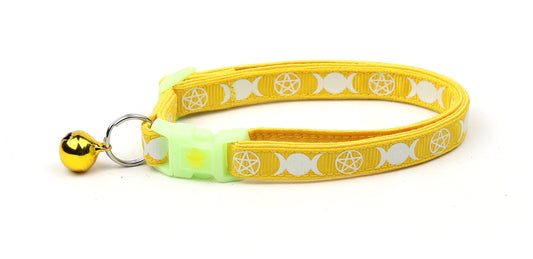 Witch's Familiar on Yellow Cat Collar