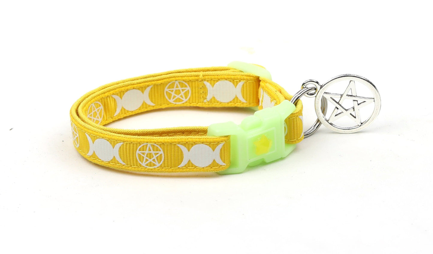 Witch's Familiar on Yellow Cat Collar