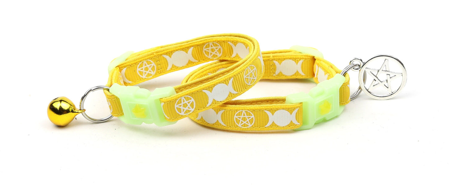 Witch's Familiar on Yellow Cat Collar