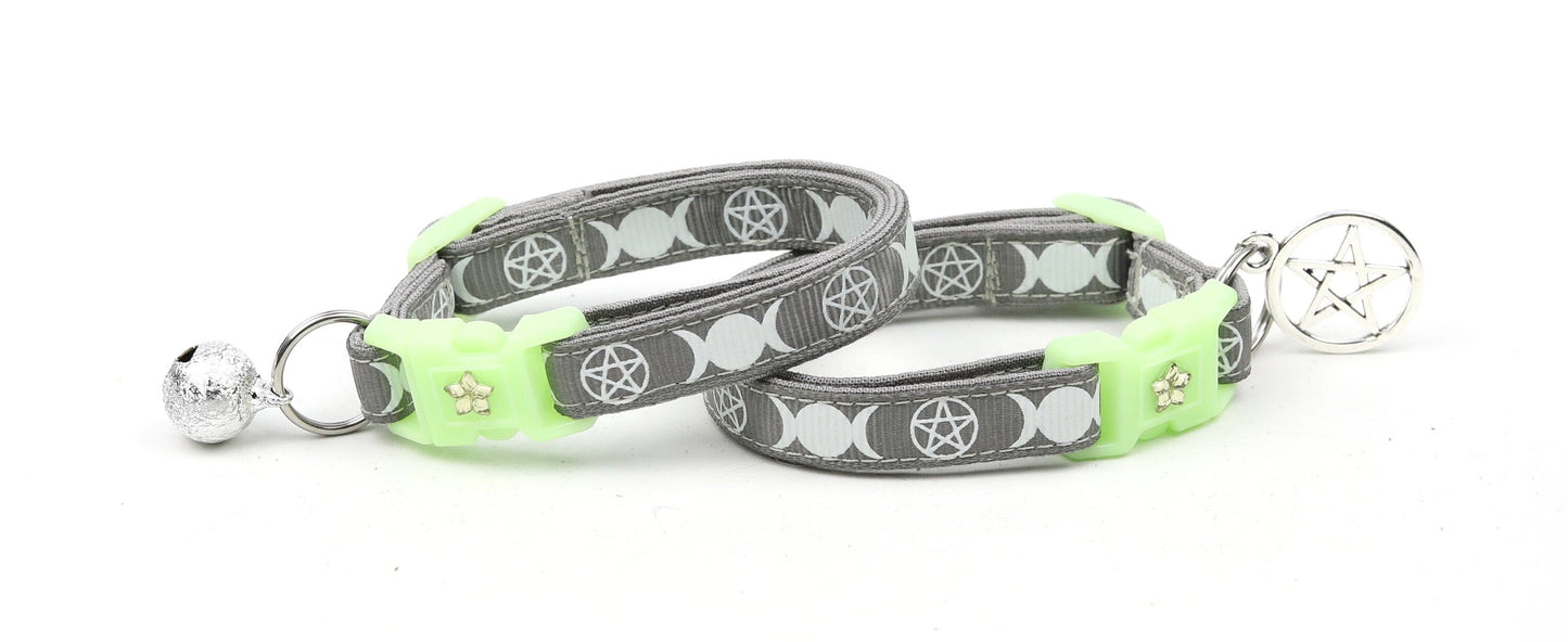 Witch's Familiar on Silver Cat Collar