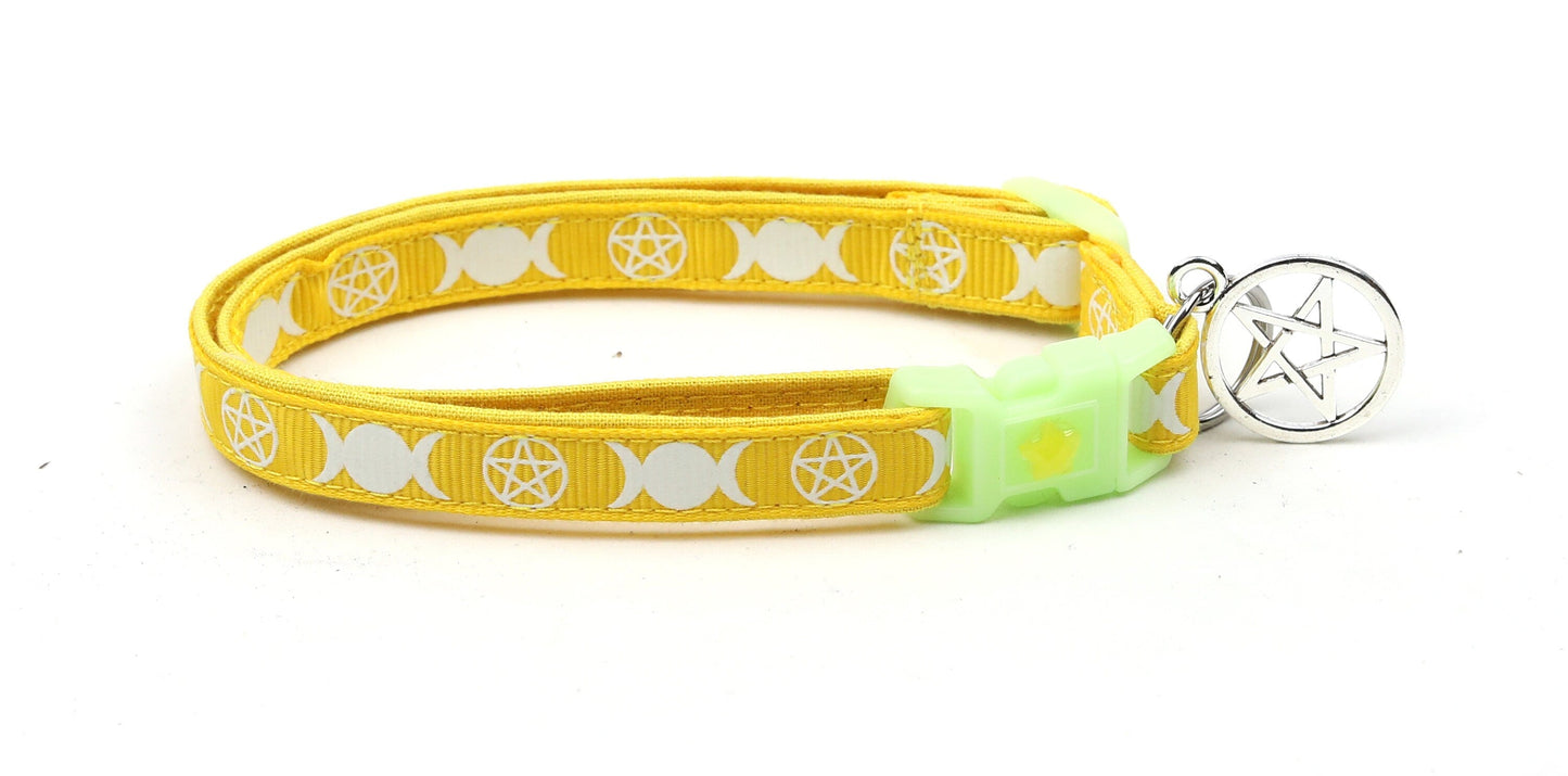 Witch's Familiar on Yellow Cat Collar