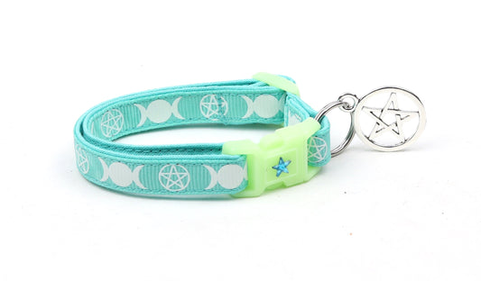 Witch's Familiar on Aqua Cat Collar