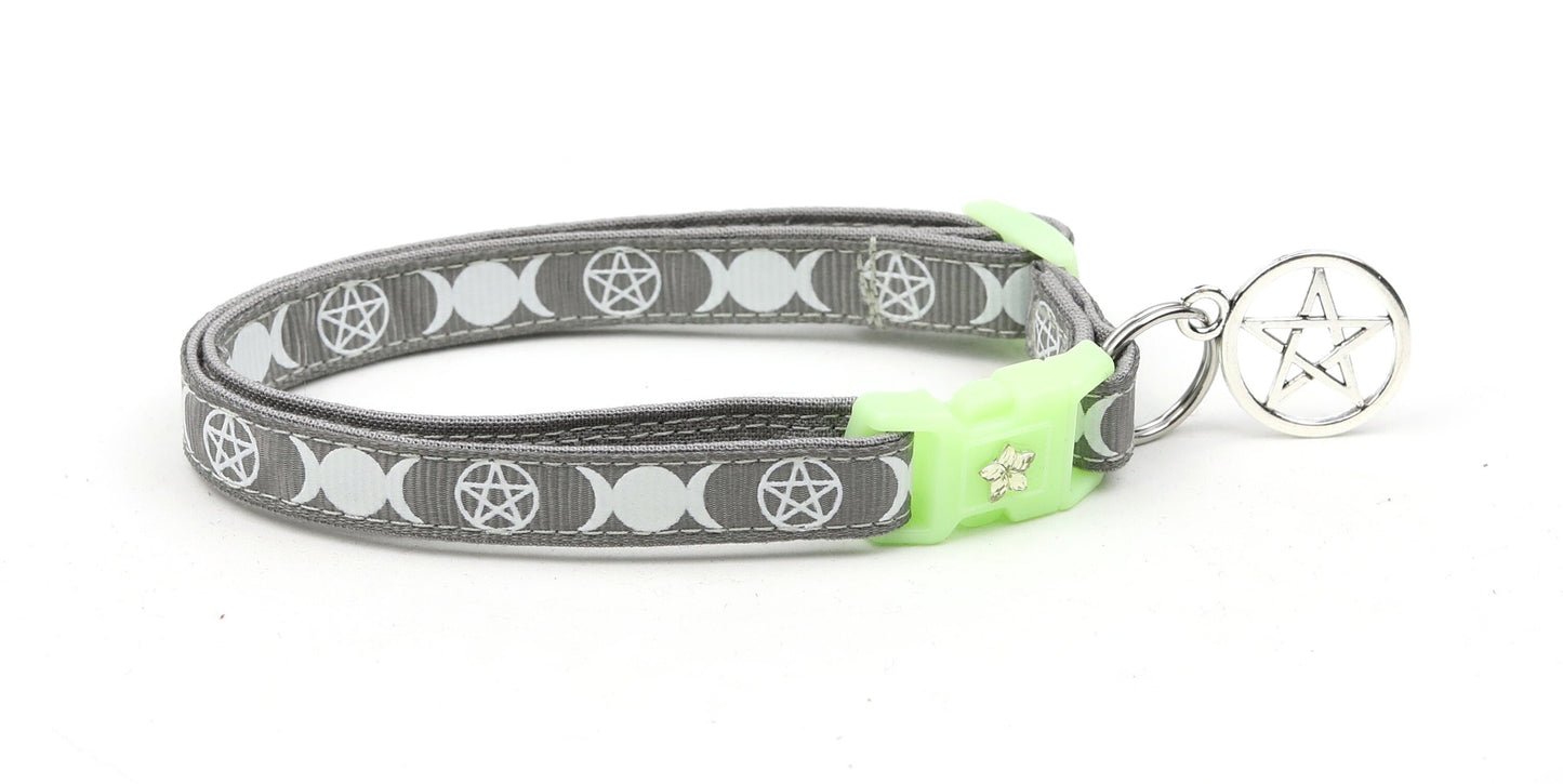 Witch's Familiar on Silver Cat Collar